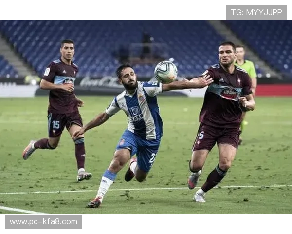 西甲K8官网帮助用户了解西班牙足球联赛的历史与发展背景