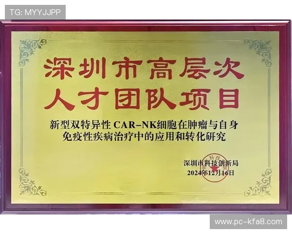 凯发k8官网新手指南，帮助新玩家快速上手游戏操作与规则理解